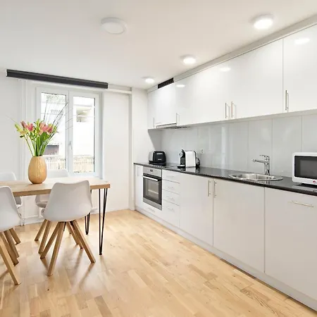 Appartement Visimo Felsenstrasse St Gallen - Elegant Heritage Building In A Quiet Neighbourhood