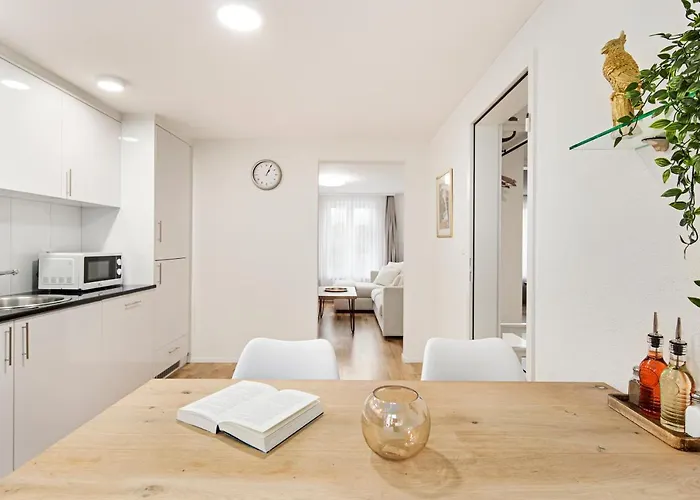Appartement Visimo Felsenstrasse St Gallen - Elegant Heritage Building In A Quiet Neighbourhood