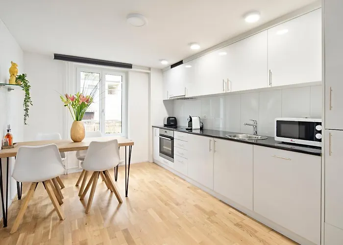 Appartement Visimo Felsenstrasse St Gallen - Elegant Heritage Building In A Quiet Neighbourhood